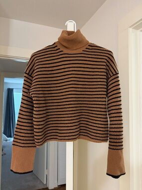 Madewell Camel and Black Striped Turtleneck Sweater